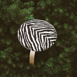 Artek Zebra Fabric