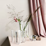 Iittala Aalto 10" Clear Finlandia Vase