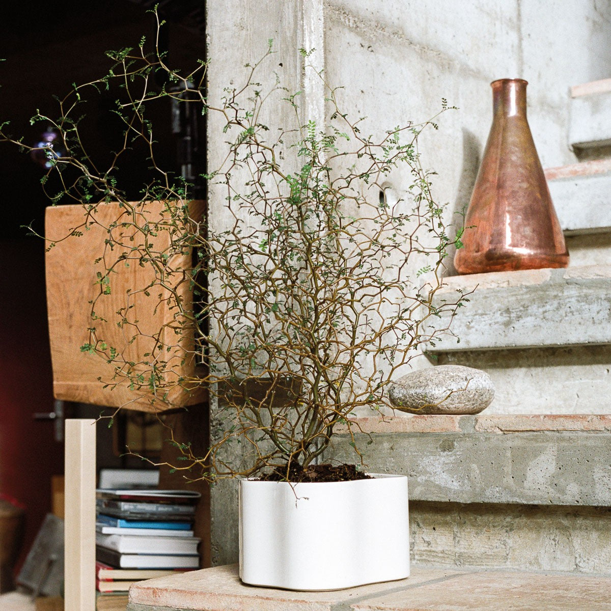 Artek / Riihitie ホワイトA リーヒティエ　scope Artek Riihitie White Plant Pots - Aalto Vases & Plant Pots – AaltoUSA