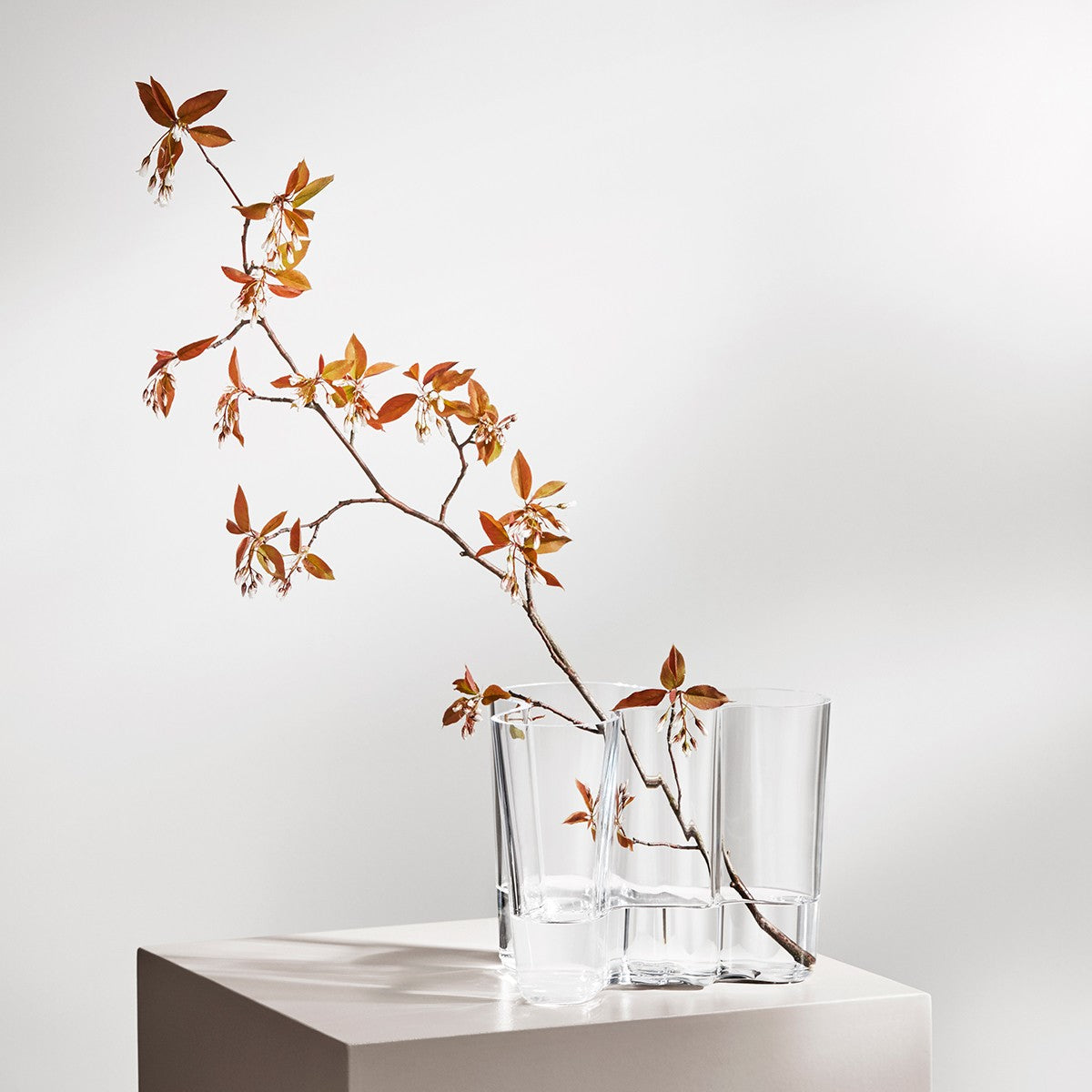 Iittala Aalto Clear Vase - 6-1/4