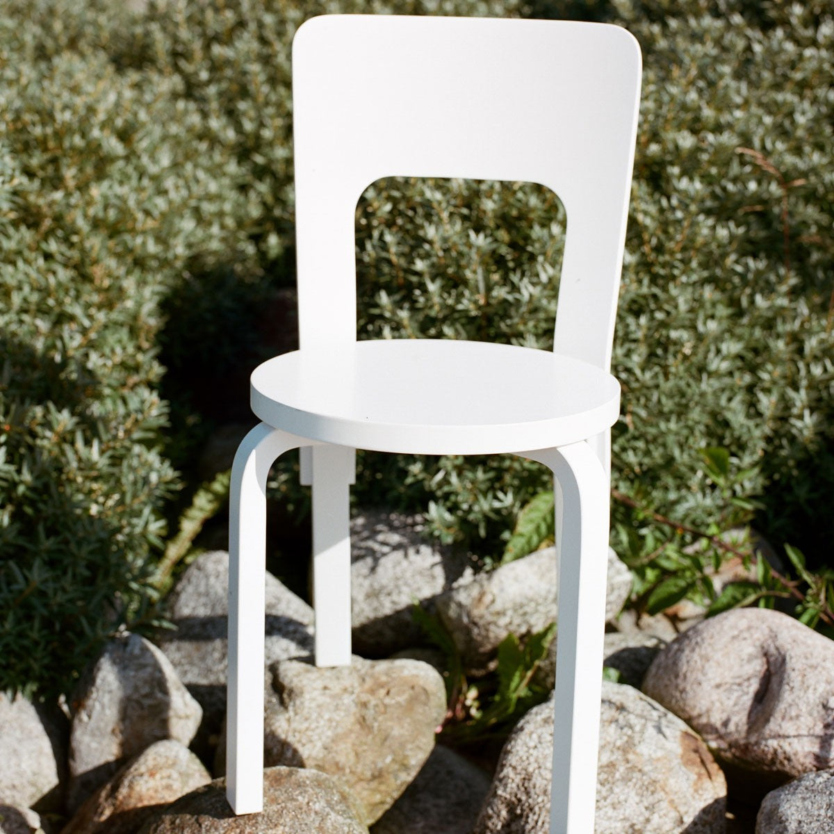 Artek Alvar Aalto 66 Chair - Lacquered - Artek Alvar Aalto Chairs