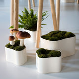 Artek Riihitie White Plant Pots